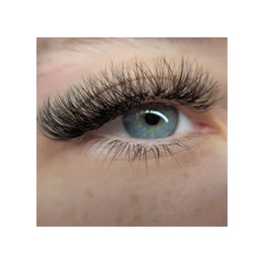 Extensions de cils
